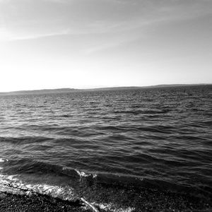 Meet your Posher, Jerry